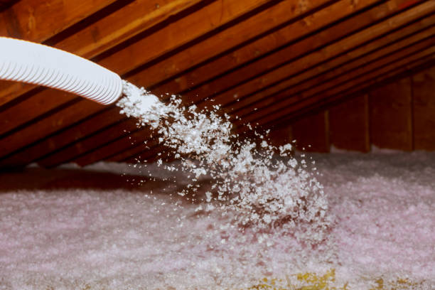 Best Commercial Insulation in Cornville, AZ